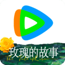 苏曼女王视频在线